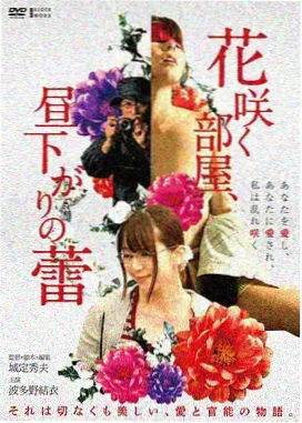 电影雾港旧事封面图